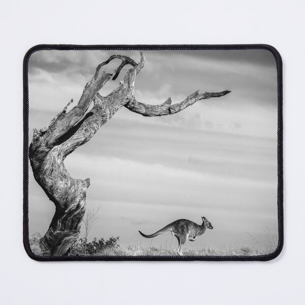 Item preview, Kangaroo Framed By Dead Tree designed and sold by Wild Images.