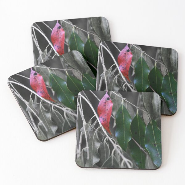 Item preview, Leaves, Kheo Yai National Park designed and sold by indiafrankk.