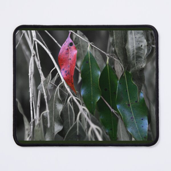 Item preview, Leaves, Kheo Yai National Park designed and sold by indiafrankk.