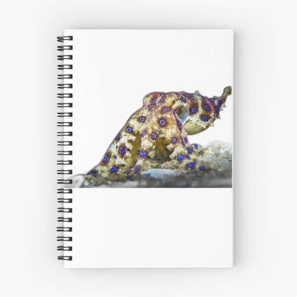 Item preview, Blue Ringed Octopus  designed and sold by Fudoitga.