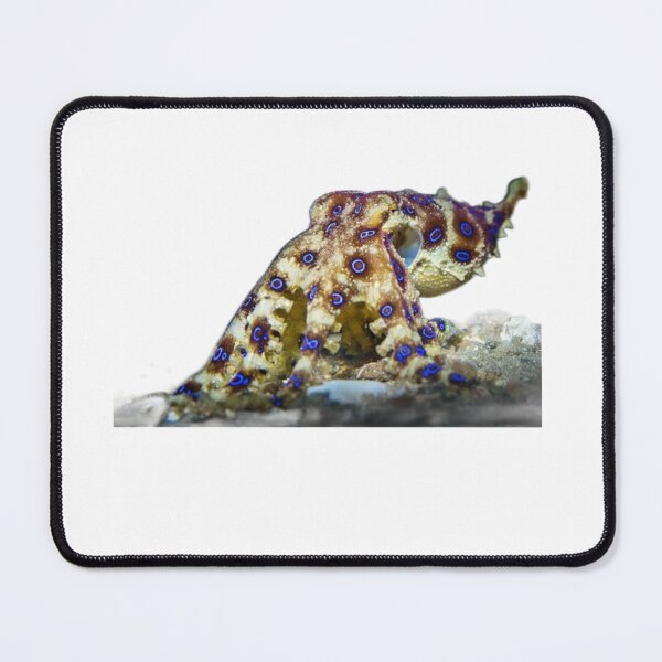 Item preview, Blue Ringed Octopus  designed and sold by Fudoitga.