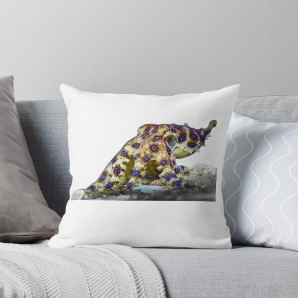 Item preview, Blue Ringed Octopus  designed and sold by Fudoitga.