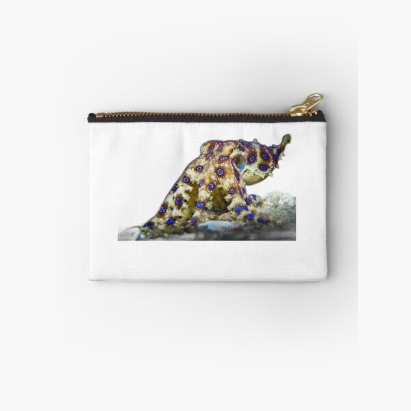 Item preview, Blue Ringed Octopus  designed and sold by Fudoitga.