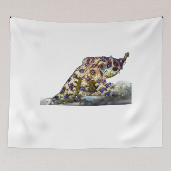 Item preview, Blue Ringed Octopus  designed and sold by Fudoitga.