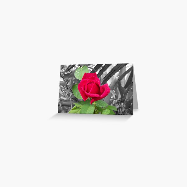 Red Blossom Greeting Card