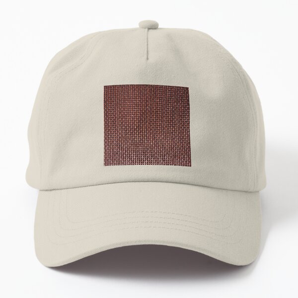 Goyard hot sale baseball cap