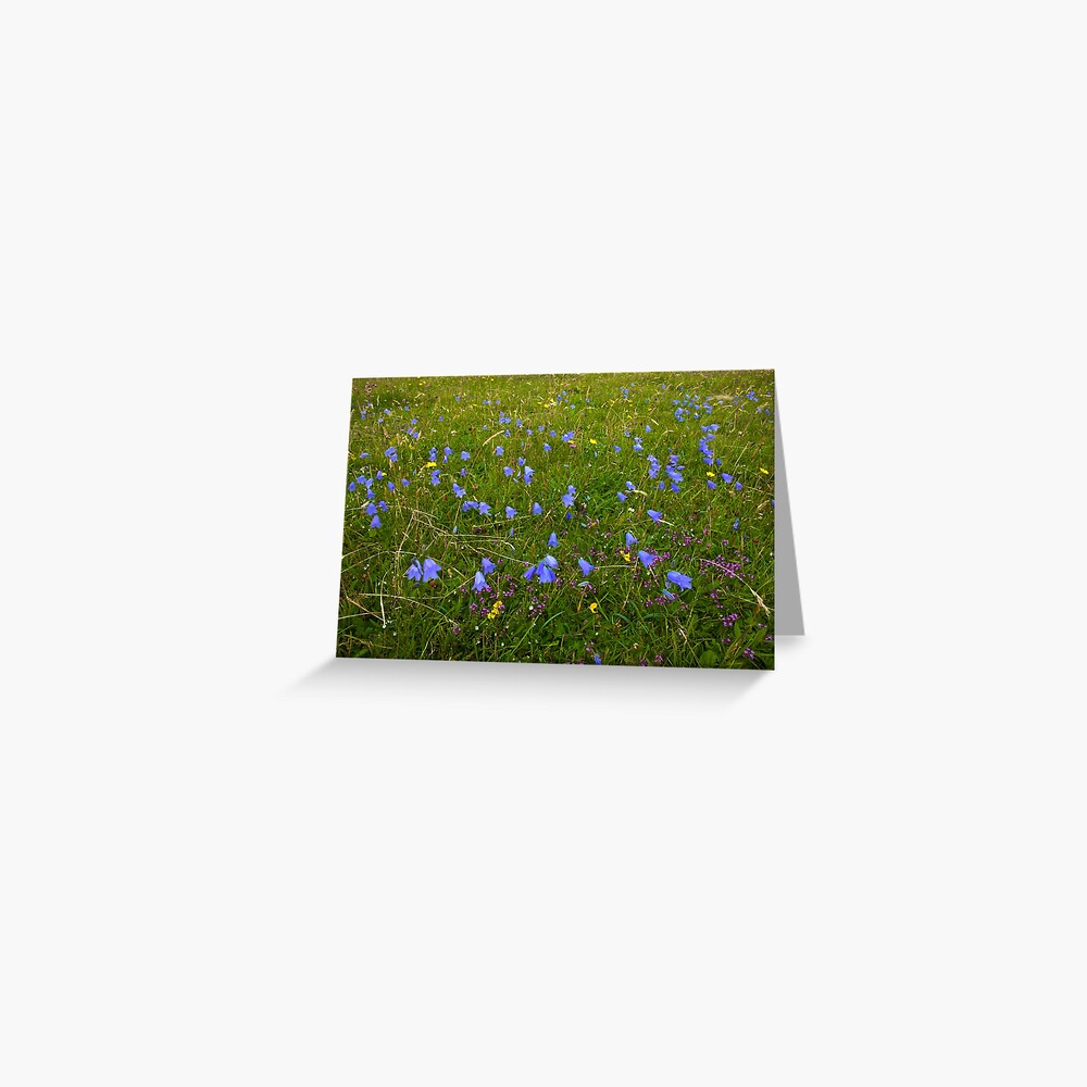 A sea of Harebells, Rossbeg, Co Donegal Greeting Card