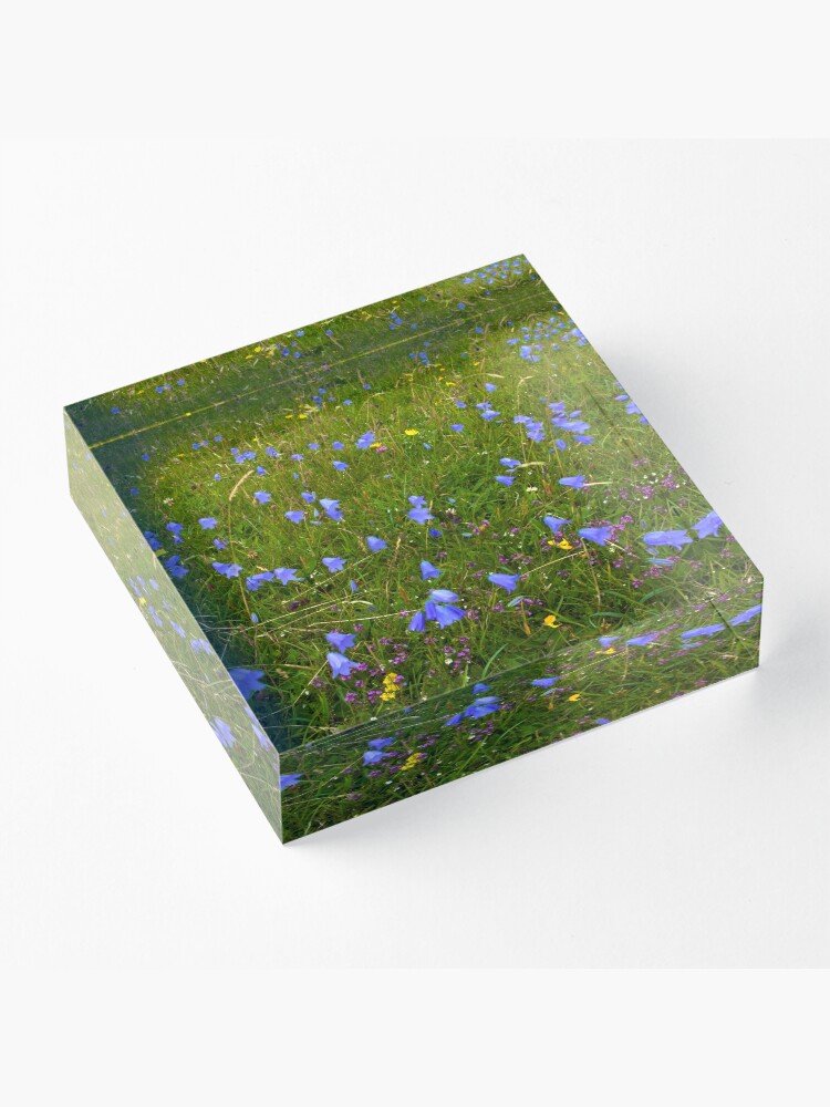Alternate view of A sea of Harebells, Rossbeg, Co Donegal Acrylic Block