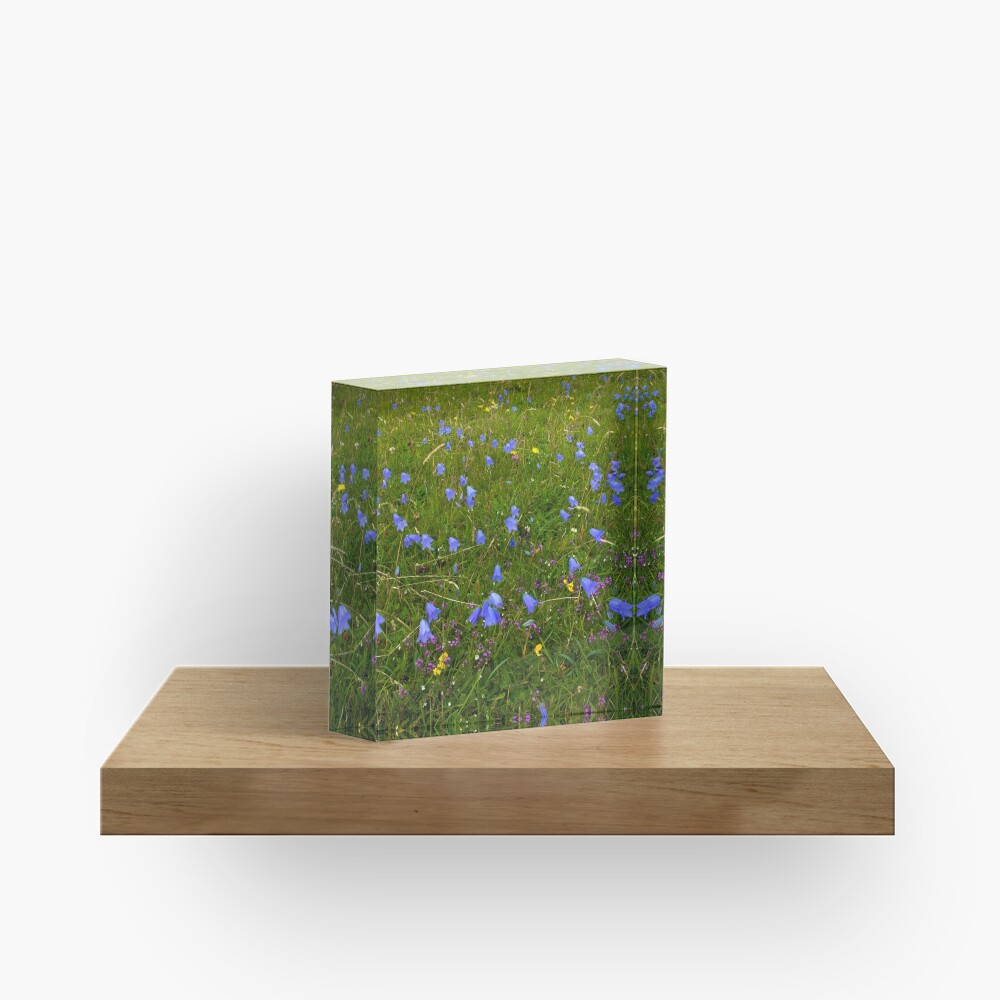 A sea of Harebells, Rossbeg, Co Donegal Acrylic Block