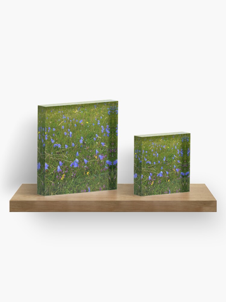 Alternate view of A sea of Harebells, Rossbeg, Co Donegal Acrylic Block