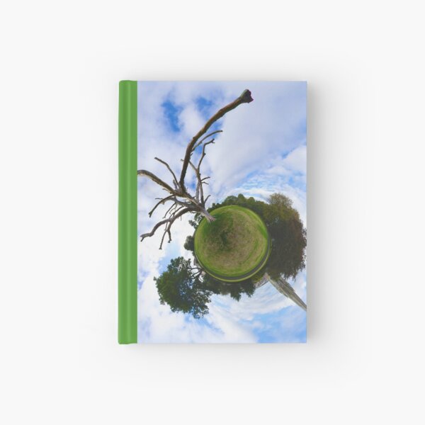 Dead Elm Tree in Brooke Park, Derry Hardcover Journal
