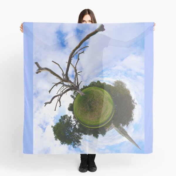 Dead Elm Tree in Brooke Park, Derry Scarf