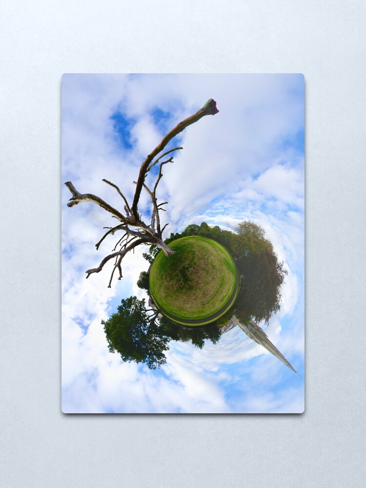 Alternate view of Dead Elm Tree in Brooke Park, Derry Metal Print
