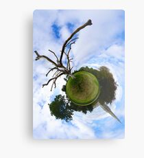 Dead Elm Tree in Brooke Park, Derry Metal Print