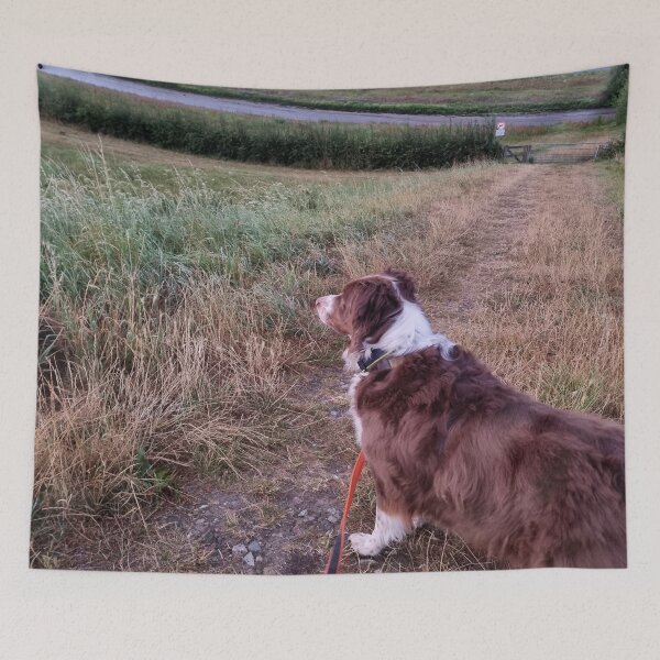 Item preview, Dog, nature designed and sold by CreationsofSkye.