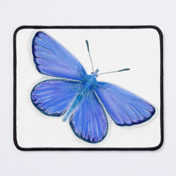 Item preview, Adonis Blue Butterfly Watercolor Painting Artwork designed and sold by Alison Langridge.