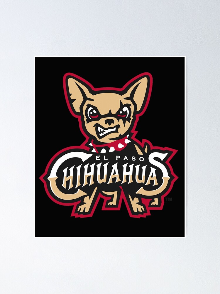 2022 EL PASO CHIHUAHUAS OFFICIAL TEAM CARD SET – El Paso