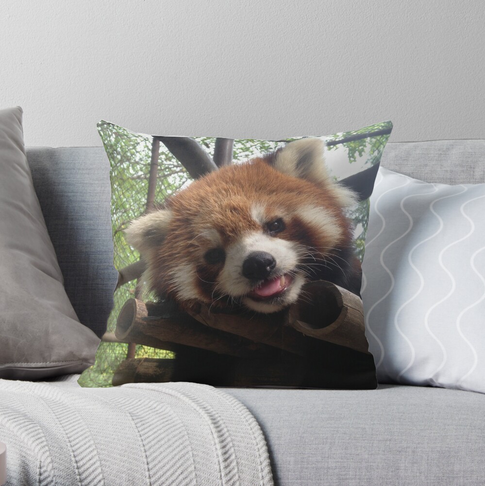 red panda pillow