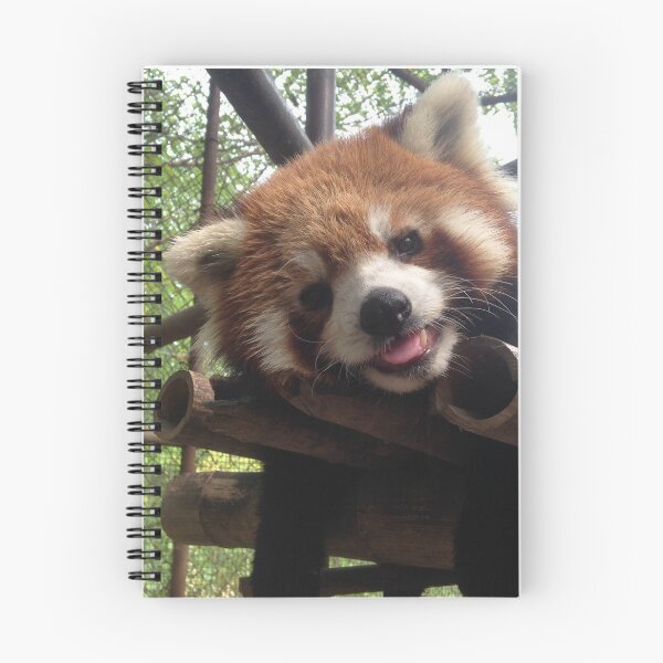 Item preview, Red panda designed and sold by laurenpears.