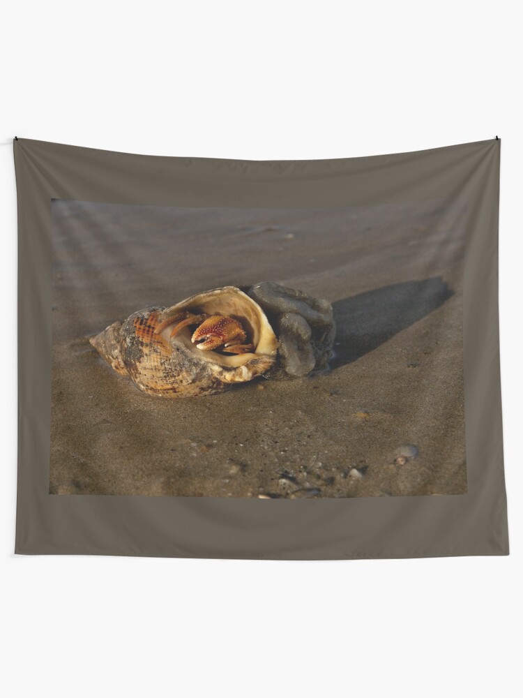 Alternate view of Hermit Crab on Fahan Beach Tapestry