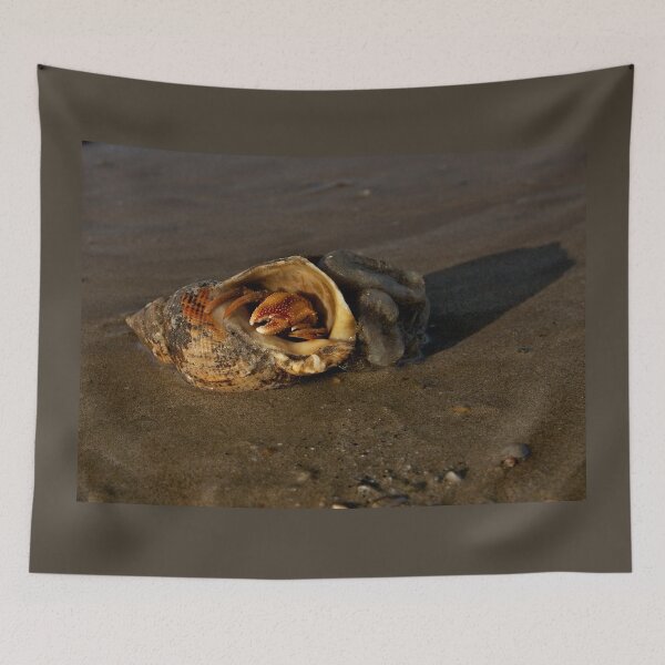 Item preview, Hermit Crab on Fahan Beach designed and sold by George Row.
