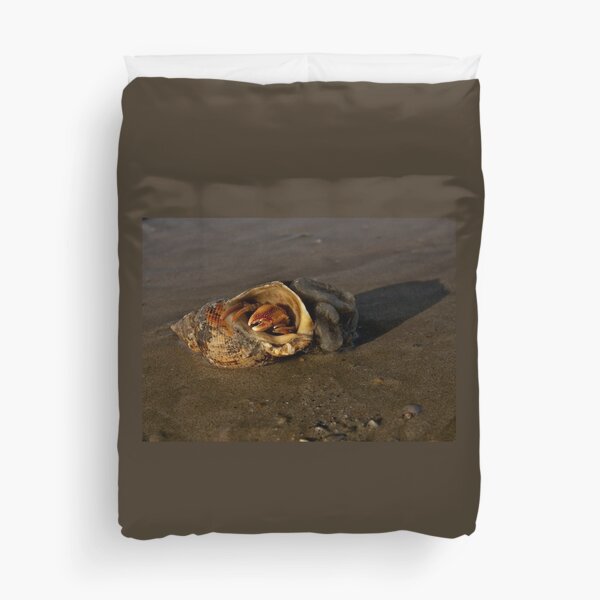 Hermit Crab on Fahan Beach Duvet Cover