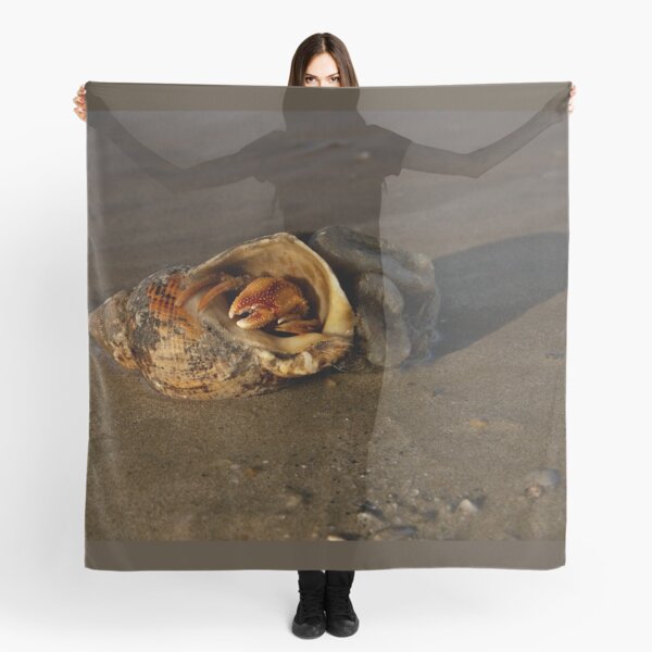 Hermit Crab on Fahan Beach Scarf