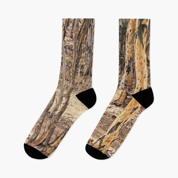 Item preview, Forest Zen designed and sold by © Hany G. Jadaa © Prince John Photography.