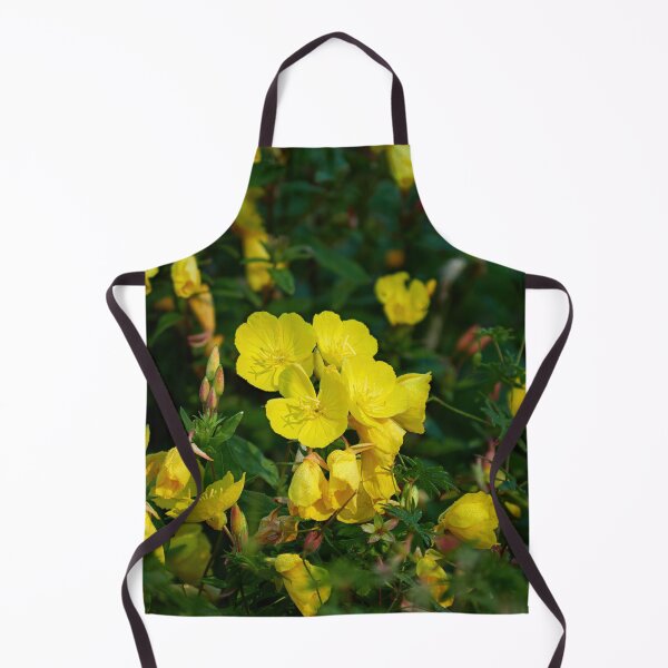 Item preview, The rich yellow. Narrow-leaved sundrops designed and sold by Jouko Lehto Photography.