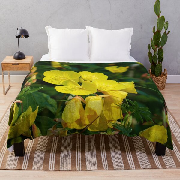 Item preview, The rich yellow. Narrow-leaved sundrops designed and sold by Jouko Lehto Photography.