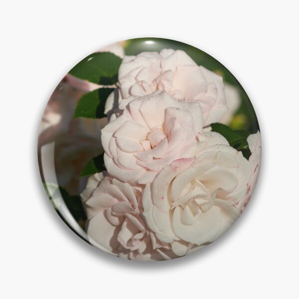 Item preview, Beauty of Aspirin Rose designed and sold by Jouko Lehto Photography.