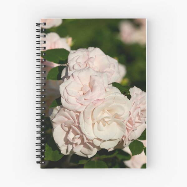 Item preview, Beauty of Aspirin Rose designed and sold by Jouko Lehto Photography.