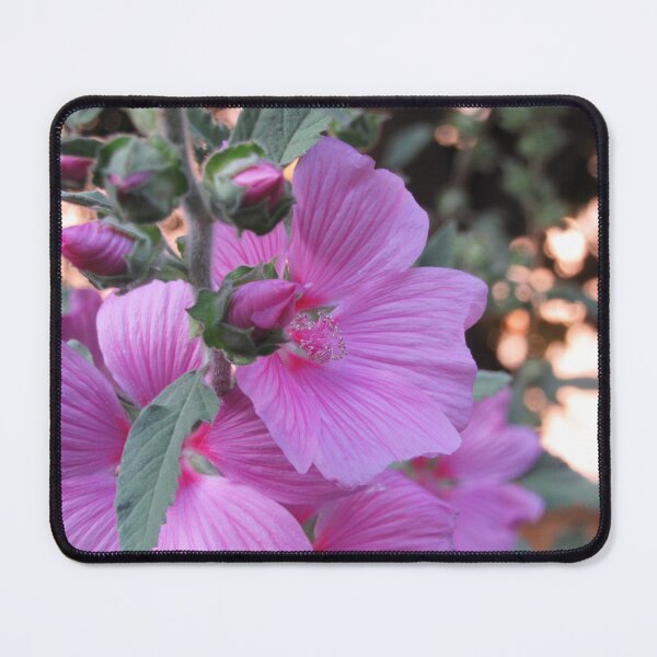 Item preview, Pink Lavatera Flower designed and sold by WildandDivine.