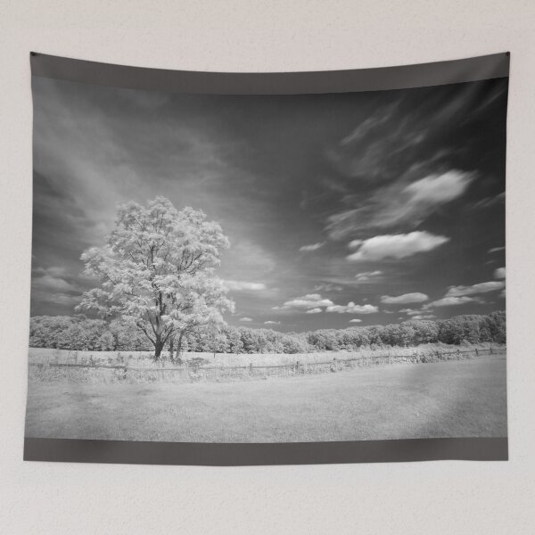 Item preview, Tree on Cherry Hill - Infrared designed and sold by Adam Bykowski.