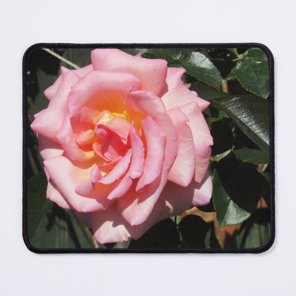 Item preview, Large Pink Rose designed and sold by WildandDivine.