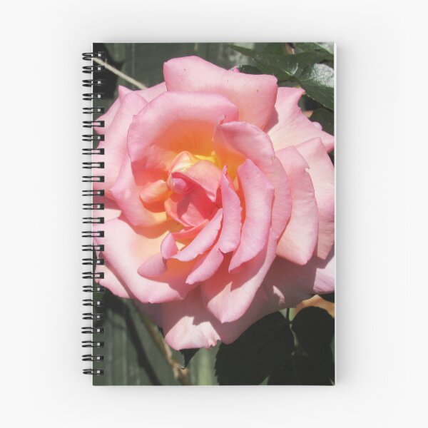 Item preview, Large Pink Rose  designed and sold by WildandDivine.