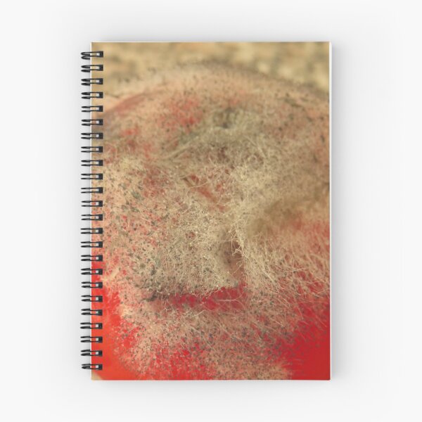 Item preview, A mouldy tomato designed and sold by Sandra Willis.