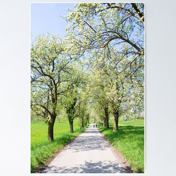 Artikelvorschau,
riechender Frühling entworfen und verkauft von Walter Quirtmair.