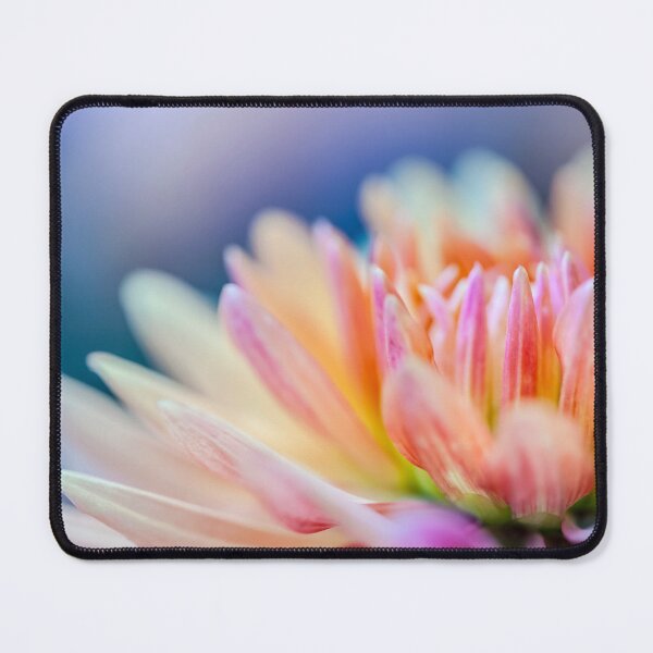 Item preview, Beautiful Pastel coloured Chrysanthemum close up designed and sold by CyaniRose.