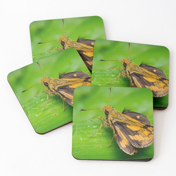 Item preview, Unique and organic photo of a yellow skipper (butterfly) with wings opened designed and sold by AvonPerception.