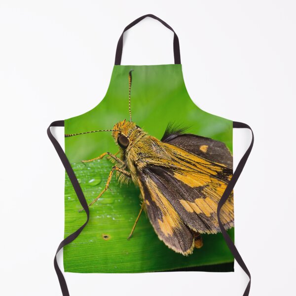 Item preview, Unique and organic photo of a yellow skipper (butterfly) with wings opened designed and sold by AvonPerception.