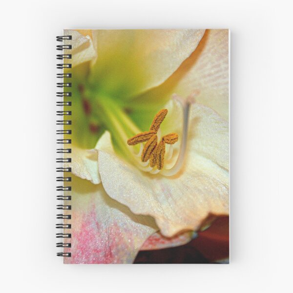 Item preview, Amaryllis Close-up. designed and sold by Billlee.