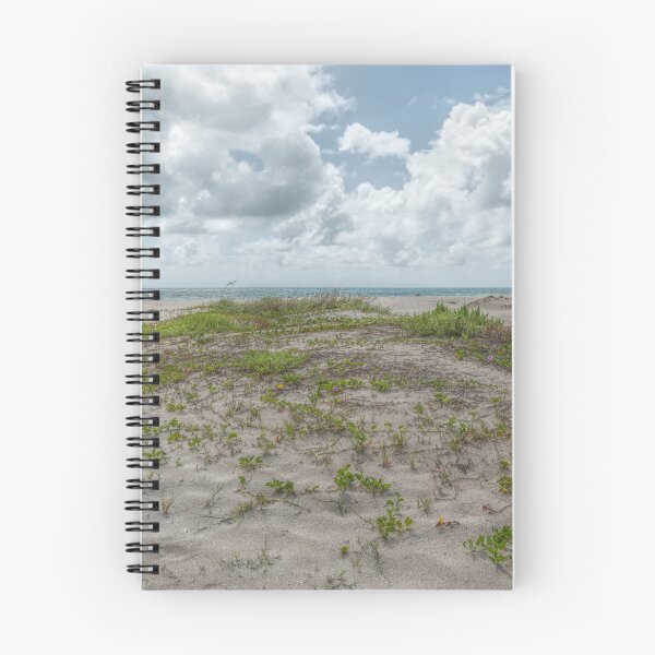 Item preview, Coastal Dunescape designed and sold by John Bailey.