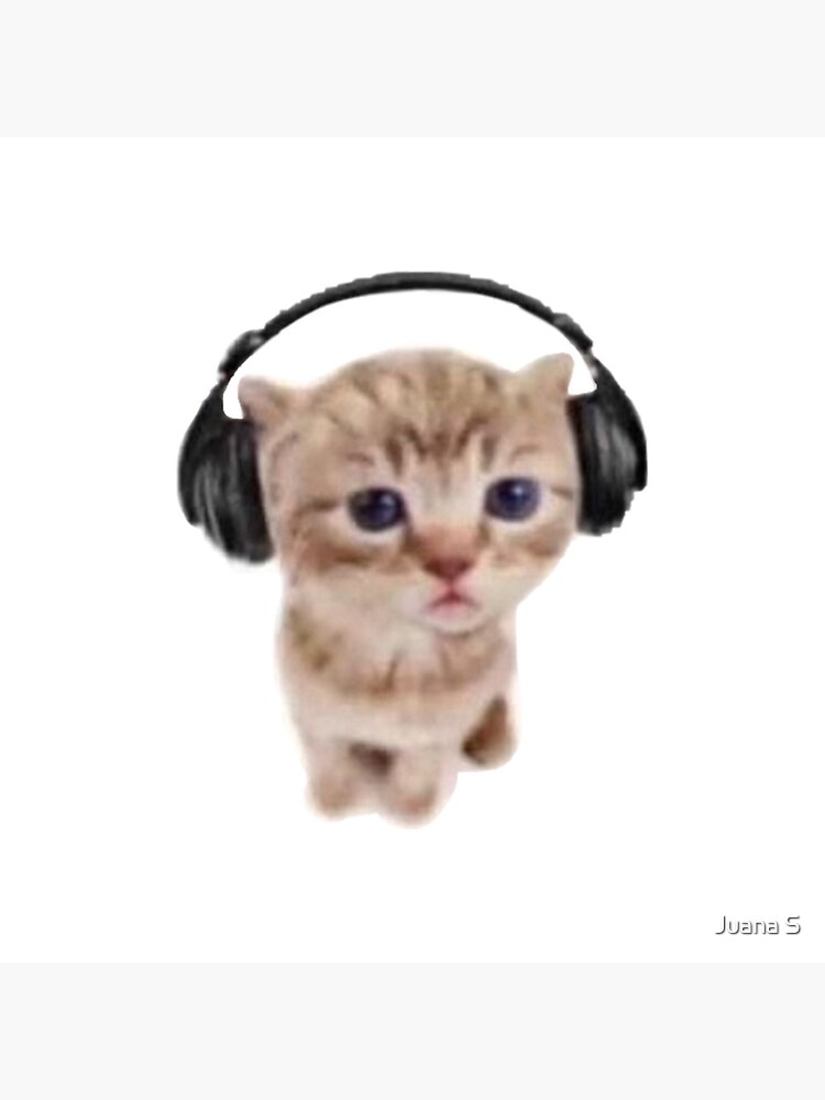 Kitten with headphones Pin by Juana S