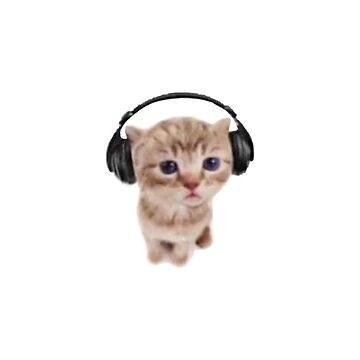 Artwork thumbnail, kitten listening to music by Juana S