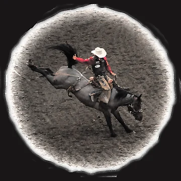 Artwork thumbnail, The Rodeo by Rfivezteezmores