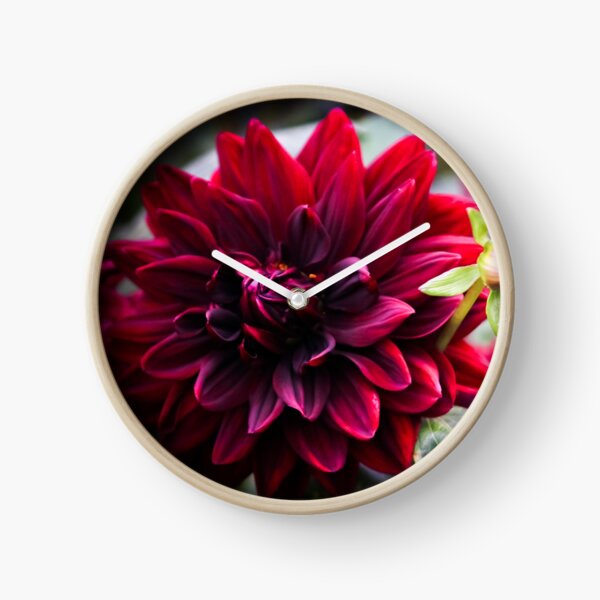 Red Dahlia Clock