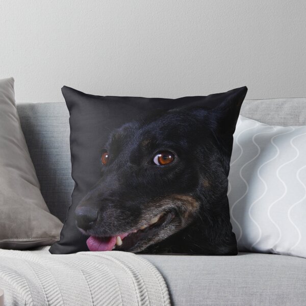Item preview, Jazzy Pooch designed and sold by Naomi Clarke.