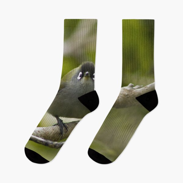 Item preview, Bird in Reunion Island designed and sold by Adrienandgraph.