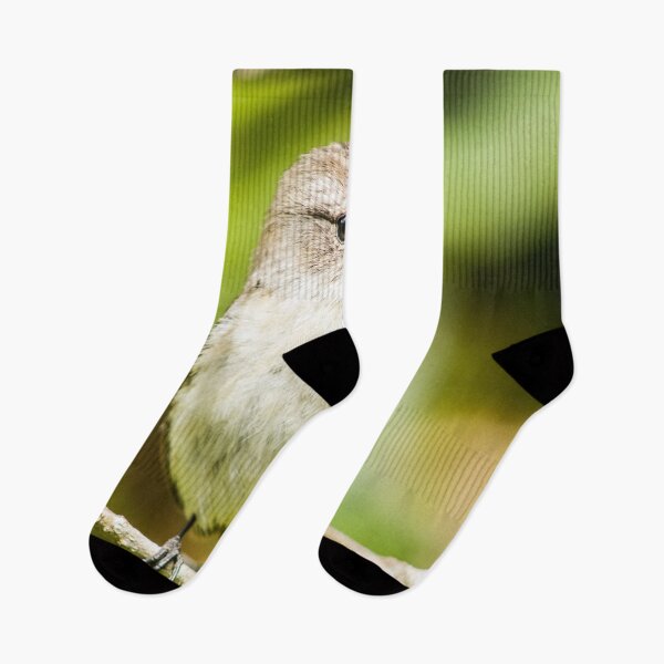 Item preview, Bird in Reunion Island designed and sold by Adrienandgraph.